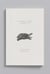 Carnet animal aquatique - heosemyde epineuse