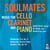 Soulmates - Musique pour violoncelle, clarinette et piano