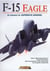 F-15 Eagle