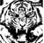Tigre