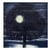 Ann Craven : Night