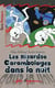 Carambolages dans la nuit