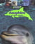 Dauphins et autres cetaces