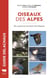 Oiseaux des Alpes : où, quand, comment les observer