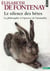 Le silence des bêtes - la philosophie à l'épreuve de l'animalité