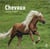 Chevaux : calendrier (édition 2022)