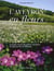L'aveyron en fleurs - inventaire illustre des plantes vasculaires du departement de l'aveyron
