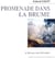 Promenade dans la brume à Bersac-sur-Rivalier