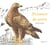 Z'oiseaux de proie