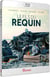 Le Fils du requin