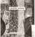 Jasper johns: shadow and substance