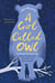 A girl called owl - she's lost in a world of winter