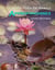 KRIYA YOGA DE BABAJI LE  AP