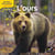 LES DOCS RIBAMBELLE : l'ours - cycle 2