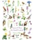 Faune et flore du massif central Tome 2