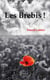 Les brebis !