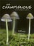 Les champignons de la montagne jurassienne