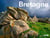 Bretagne (version brochee ouest-france)