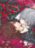 Vampire knight : artbook