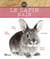Lapin nain
