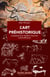 L'art préhistorique - la beauté et le mystère d'oeuvres multimillénaires