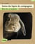 Soins du lapin de compagnie - bien-être et maladies