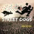 Street dogs - chiens des rues