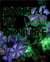 Miguel Chevalier : Digital by Nature