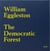 William eggleston the democratic forest