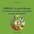 Erwan, le petit breton les plantes sauvages comestibles au pays des druides