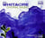 Musique chorale