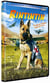 Rintintin