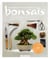 Comment créer et entretenir vos bonsaïs