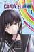 Candy flurry Tome 1