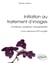 Initiation au traitement d'images : contours, couleurs, mouvements