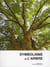 Symbolique de l'arbre