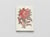 Carnet notes & lecture : fleurs, fruits et feuillages de Java