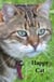 Happy cat