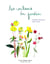 Graines d'ours : les couleurs du jardin