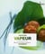 Vapeur - plus de 100 recettes & variations