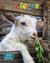 Mes 500 plus belles photos : La ferme