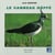 LE VANNEAU HUPPE