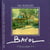 EN PROVENCE SUR LES PAS DE JOSEPH BAYOL : les Alpilles