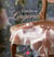 Coudre sa lingerie - secrets et patrons