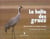 La halte des grues - sous laile dun oiseau nomade