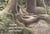 Quand Jacques Rime avec nature