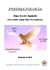 Pneumatologia - the holy spirit, his gifts and the prophets