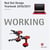 Working 2016/2017: red dot design yearbook