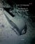 The reality of the lowest rank - a vision of central europe