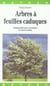 Arbres a feuilles caduques
